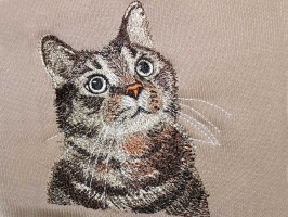 Вышивка мордочки кота по фото