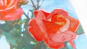 Вышивка на банданах