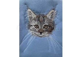 Вышивка котика по фото