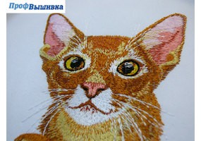 Рыжий кот 2