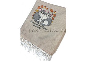 Котики на пледе