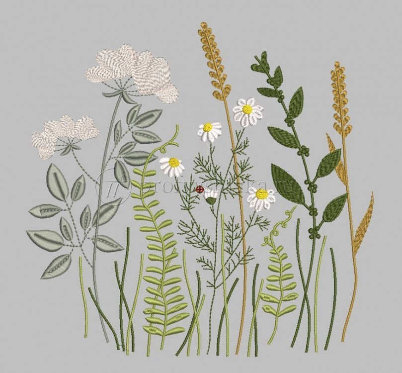 Дизайн для вышивки «Полевые цветы»